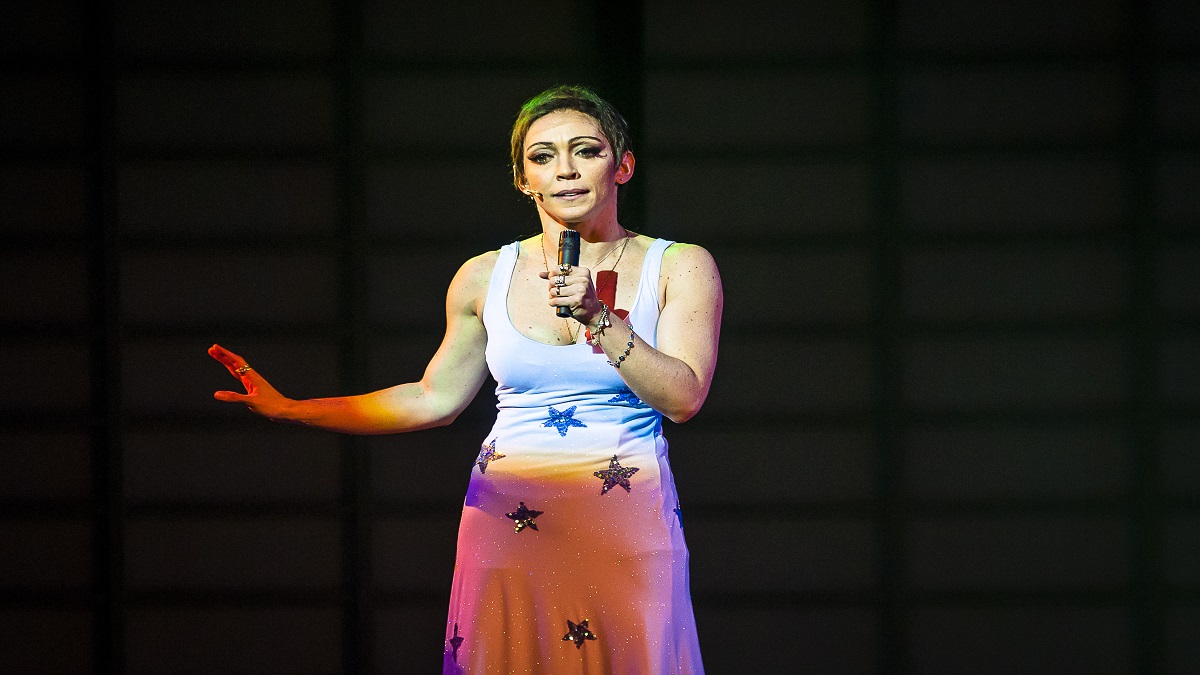 “Elis, A Musical” no Teatro Sérgio Cardoso Cansei De Ser Pop